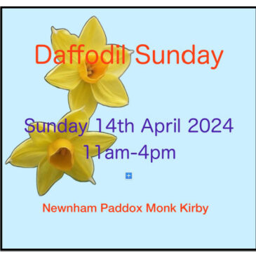 Daffodil Sunday