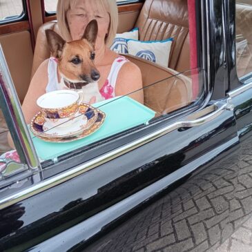 Classic Stony – Sunday 1st June 2025